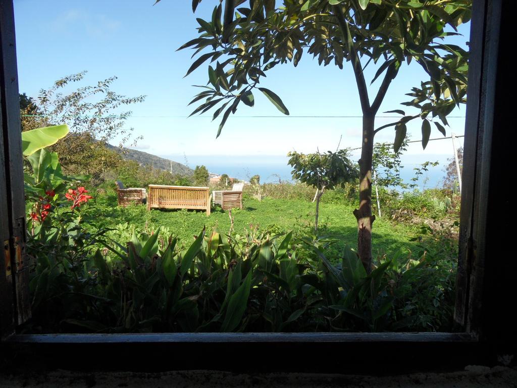 Finca Cueva Del Viento Icod De Los Vinos Room photo